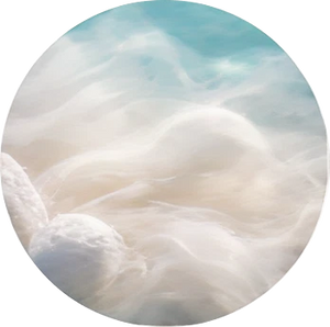 Silk Protein
