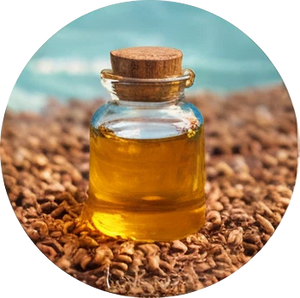 Carrot  Seed Oil