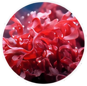 Astaxanthin (AstaZine®)
