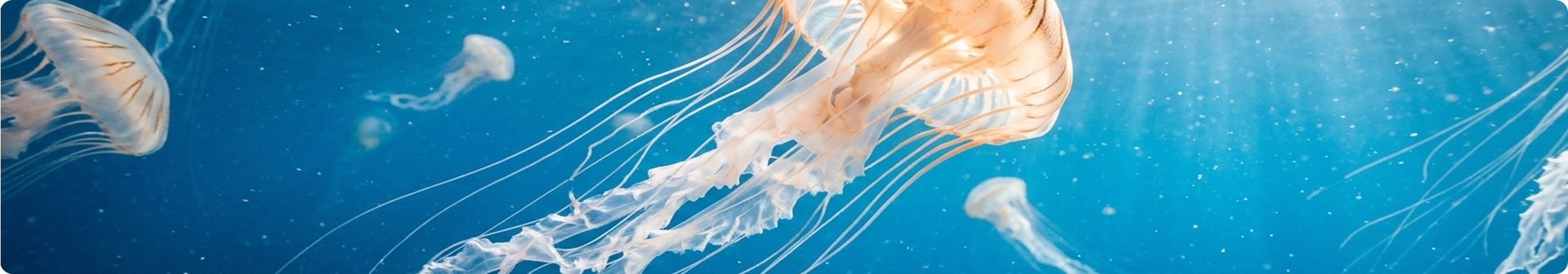 Pearl Powder