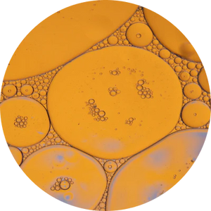 Close-up of orange oil droplets in water forming various sized circles.