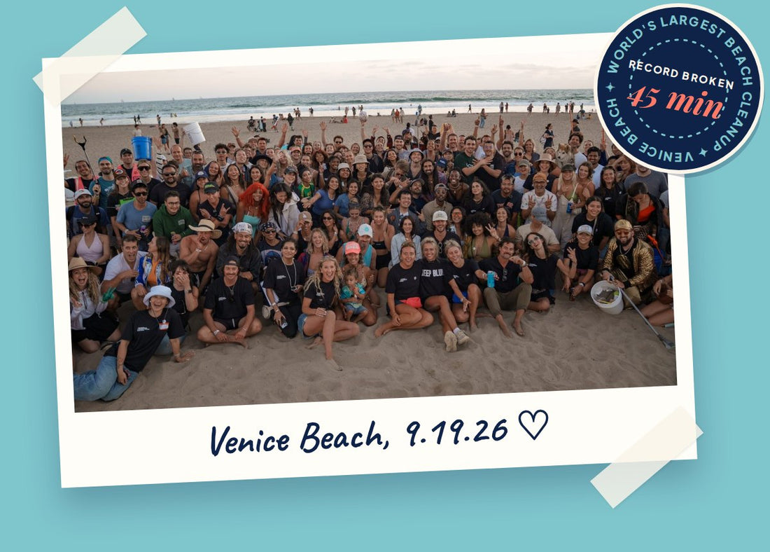 Volunteers at the Venice Beach cleanup